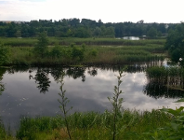 Wizja lokalna na Szachtach