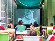 Wokół zmysłów na Madalinie