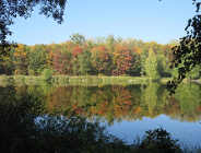 Wybrano władze Metropolii