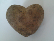 Wycieczka po zakochanym Poznaniu