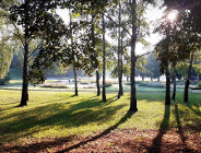 Wycinki i nasadzenia