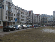 Wymieniają drzewa przy ul. Szyperskiej, bo nie rosną