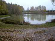 XXXIX sesja Rady Miasta Poznania