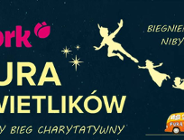 York Fura Świetlików