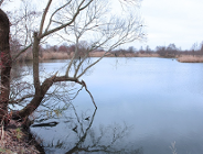 Z widokiem na Szachty