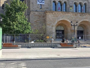 Zapytanie w sprawie wyciętego drzewa