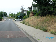 ZDM będzie porządkować zieleń przydrożną