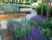 Zieleń a polityka przestrzenna