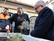 Zielona inicjatywa na Paderewskiego i Wielkiej