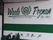 Zieloni wracają do gry