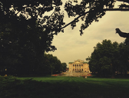 Zlikwidować Operę!