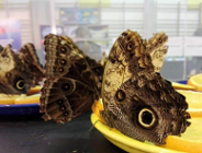 Zobacz egzotyczne zwierzęta