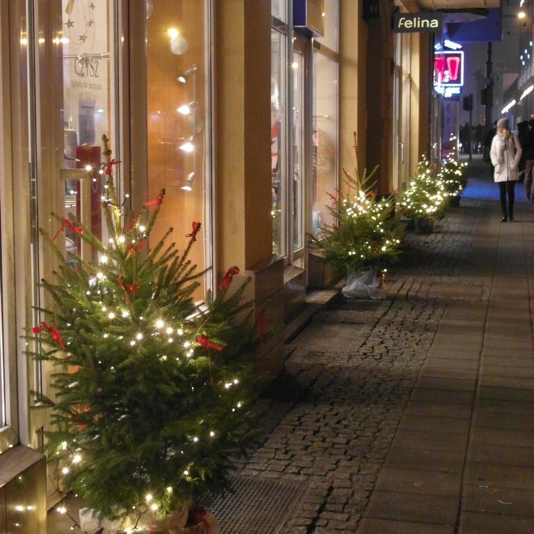 Poznań rozbłysnął ponad 180 choinkami świątecznymi!