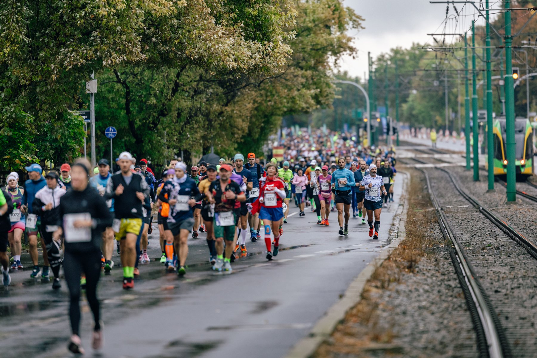 W niedzielę Poznań opanują biegacze podczas 24. Poznań Maratonu fot. POSiR/A. Olszanowski Biegacze na trasie maratonu
