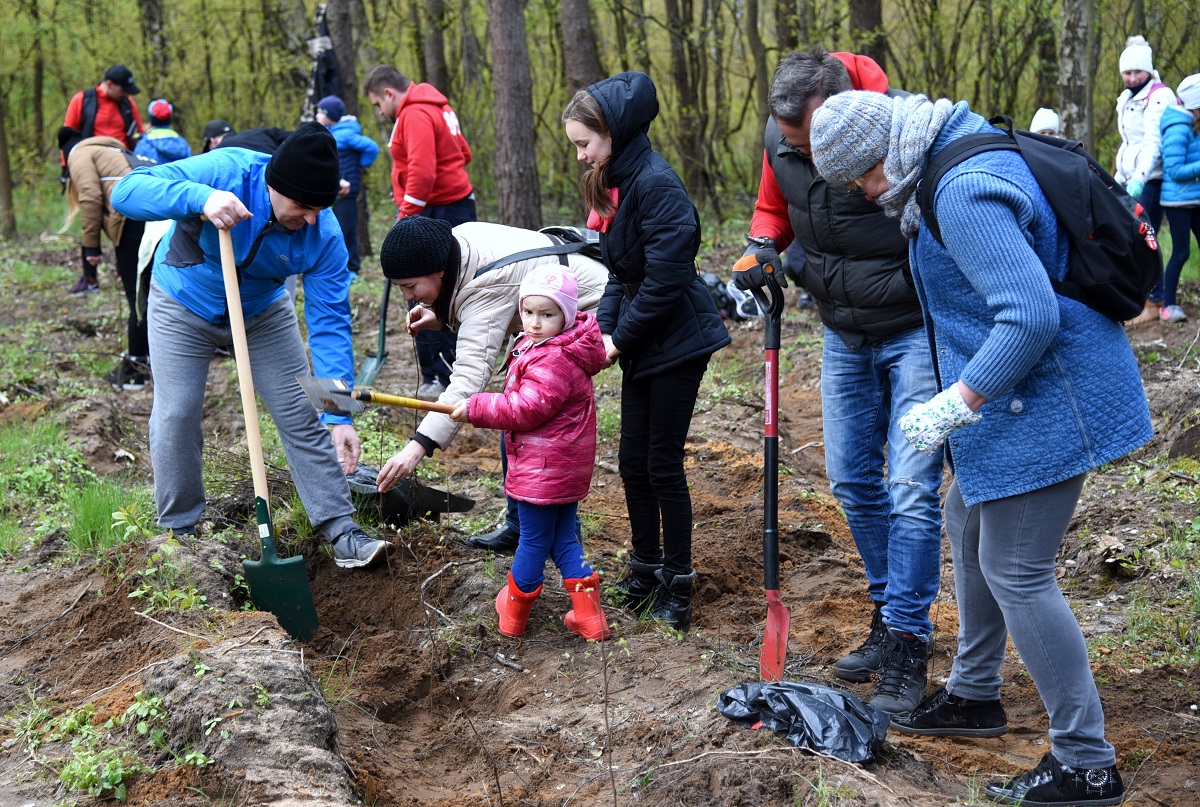 Drzewko+. Poznaniacy posadzili 1100 drzew w Lasku Marcelińskim - grafika artykułu