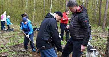 Drzewko+. Poznaniacy posadzili 1100 drzew w Lasku Marcelińskim