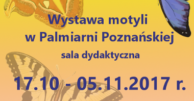 Weekend w Poznaniu