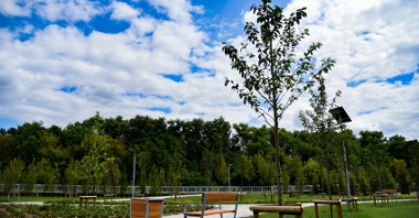 Mieszkańcy Poznania zyskali ostatnio nowy park przy ul. Dolna Wilda. Miejscy radni nadali mu imię Bambrów Poznańskich