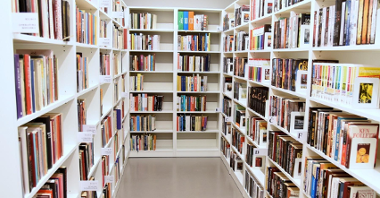 Zdjęcie przedstawia półki z książkami
