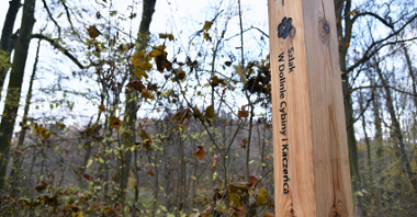 Zdjęcie przedstawia drewniany drogowskaz z napisem "Szlak w dolinie Cybiny i Kaczeńca". Drewniany słup znajduje się w lesie.