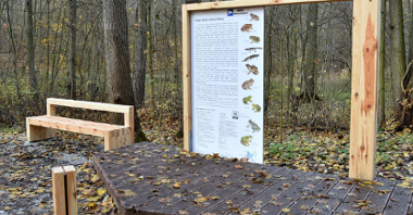Zdjęcie przedstawia drewnianą ławkę oraz tablicę informacyjną na temat gadów i płazów żyjących w dolinie Cybiny. Infrastruktura znajduje się w lesie.