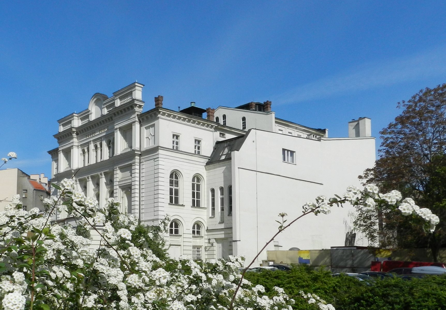 Zdjęcie Teatru Polskiego, na pierwszym planie krzak z białymi kwiatami - grafika artykułu