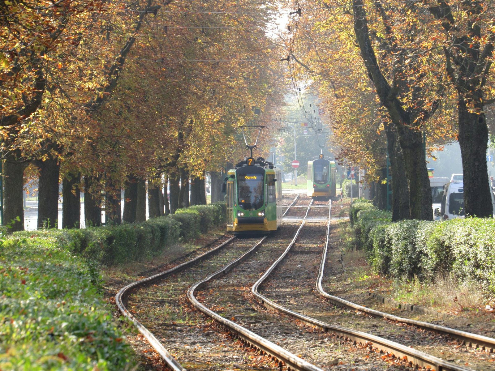 Zdjęcie tramwajów linii nr 7 jadących trasą wzdłuż ul. Przybyszewskiego i Reymonta - grafika artykułu