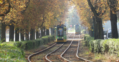 Zdjęcie tramwajów linii nr 7 jadących trasą wzdłuż ul. Przybyszewskiego i Reymonta