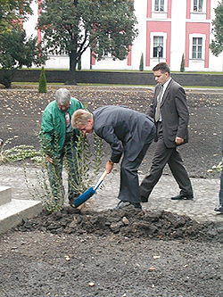 członkowie Zarządu Miasta posadzili krzewy w Parku im. Chopina - grafika artykułu