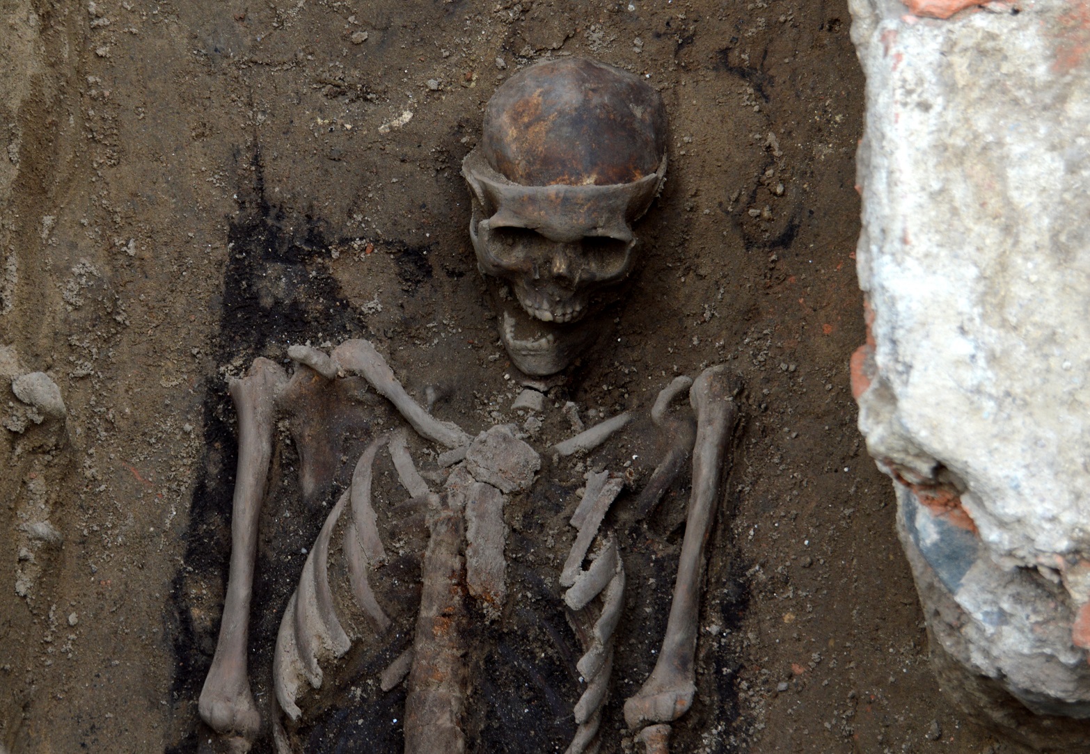 Szkielet znaleziony na placu Kolegiackim - grafika artykułu