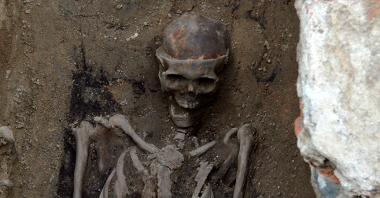 Szkielet znaleziony na placu Kolegiackim