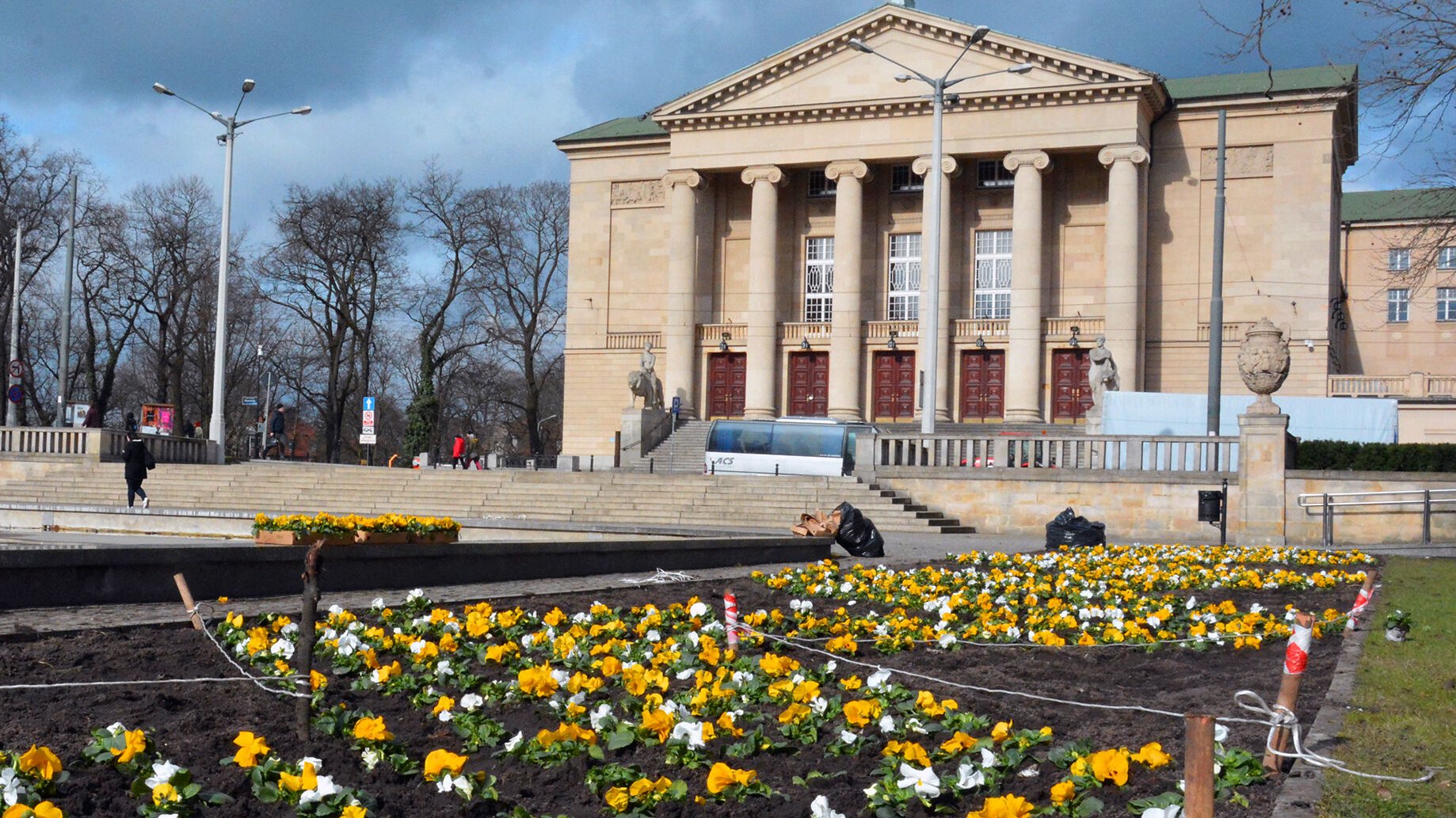 Przed Teatrem Wielkim pojawiły się już pierwsze bratki