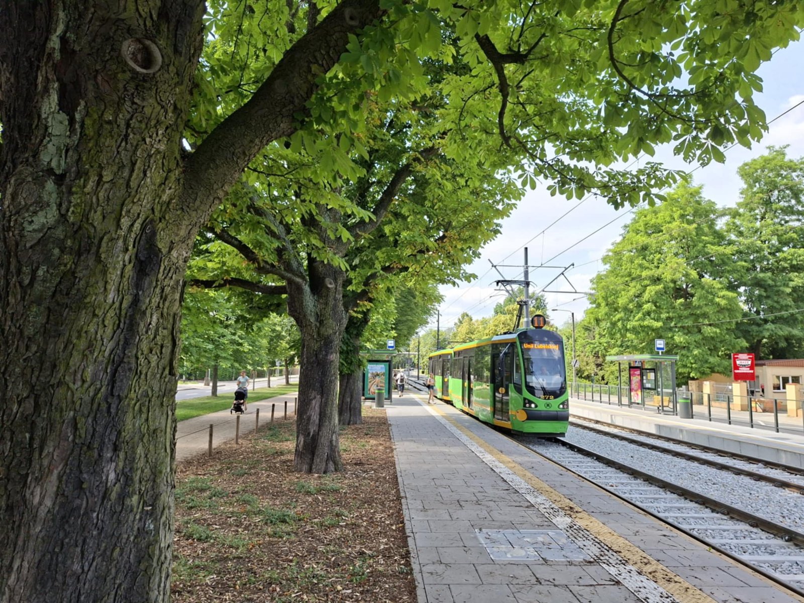 Od 28 czerwca do 31 sierpnia obowiązywać będzie letni rozkład jazdy fot. ZTM Tramwaj na al. Wielkopolskiej