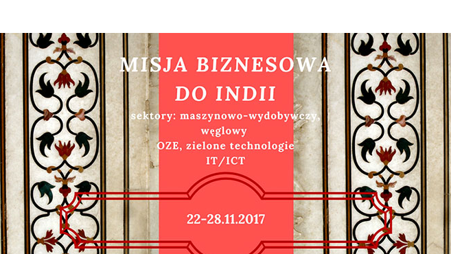 Misja biznesowa do Indii. Fot: PAIH