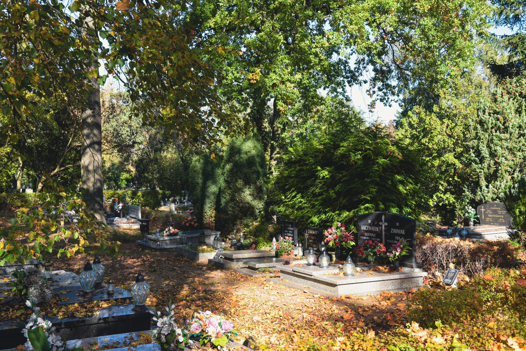 Jak co roku w pobliżu poznańskich cmentarzy wprowadzone będą zmiany w organizacji ruchu - mają one ułatwić dojazd do nekropolii i zwiększyć bezpieczeństwo kierowców i pieszych Cmentarz jesienią