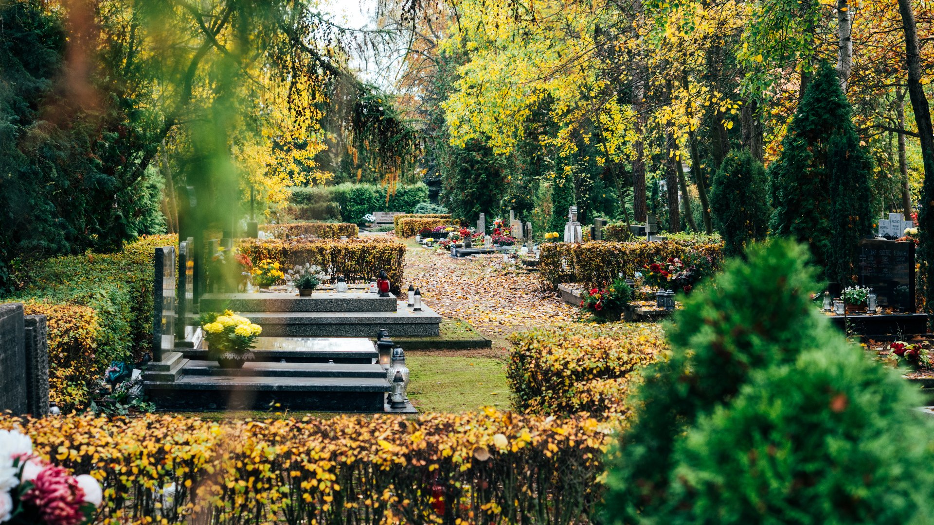 W okresie Wszystkich Świętych miliony Polaków odwiedzają cmentarze i groby swoich bliskich Zdjęcie cmentarza jesienią