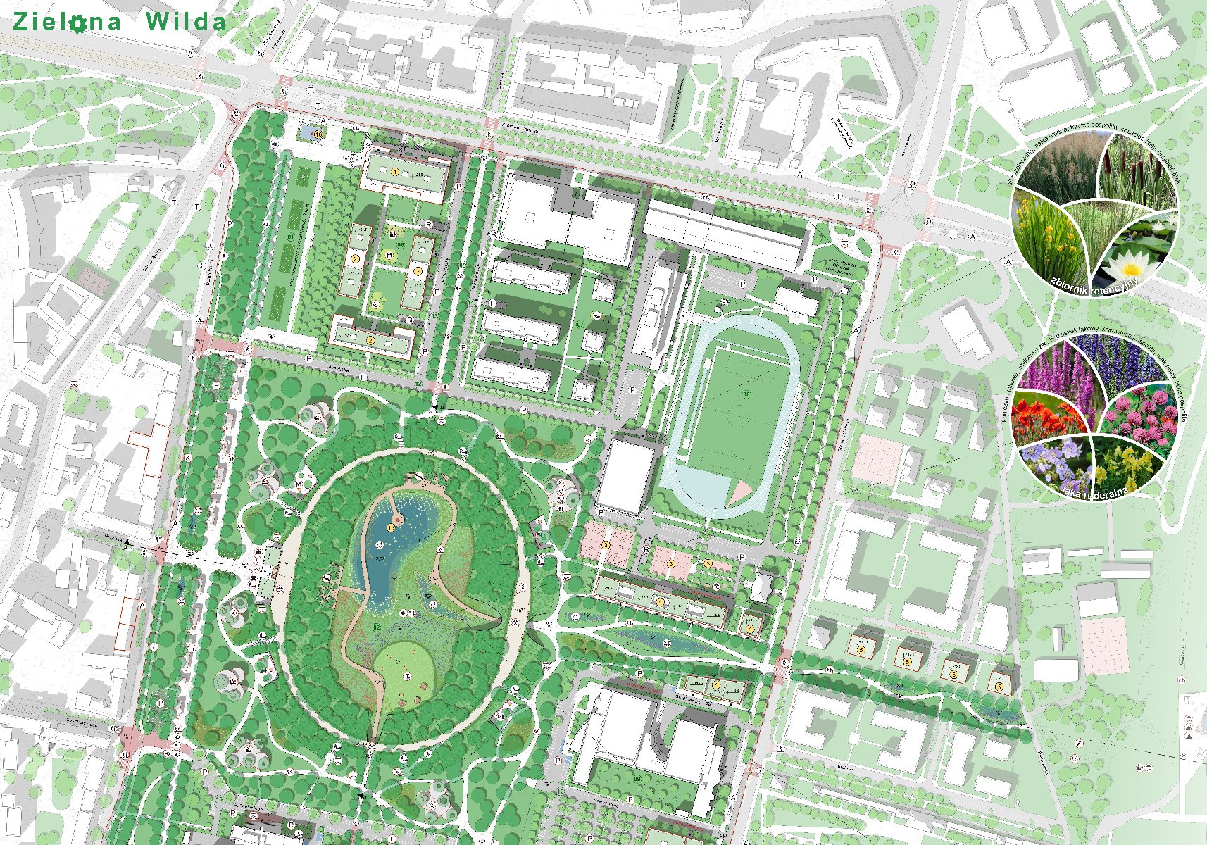 Plansza w odcieniach zieleni przedstawiająca stadion Szyca, teren AWF i teren przy ul. Królowej Jadwigii.