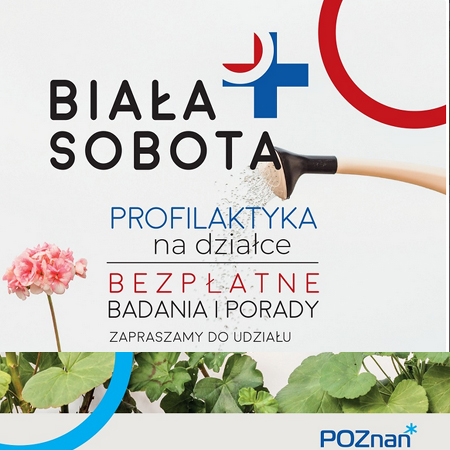 plakat