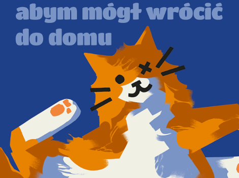 Dla mieszkańców Poznania czipowanie zwierząt domowych jest darmowe Rudo-biały kot na niebieskim tle