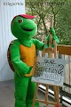 Wizyta Żółwia Franklina w przedszkolu, szkole, bibliotece!