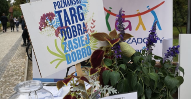 Na zdjęciu rośliny, obok tabliczka z napisem: Poznański Targ Dobra