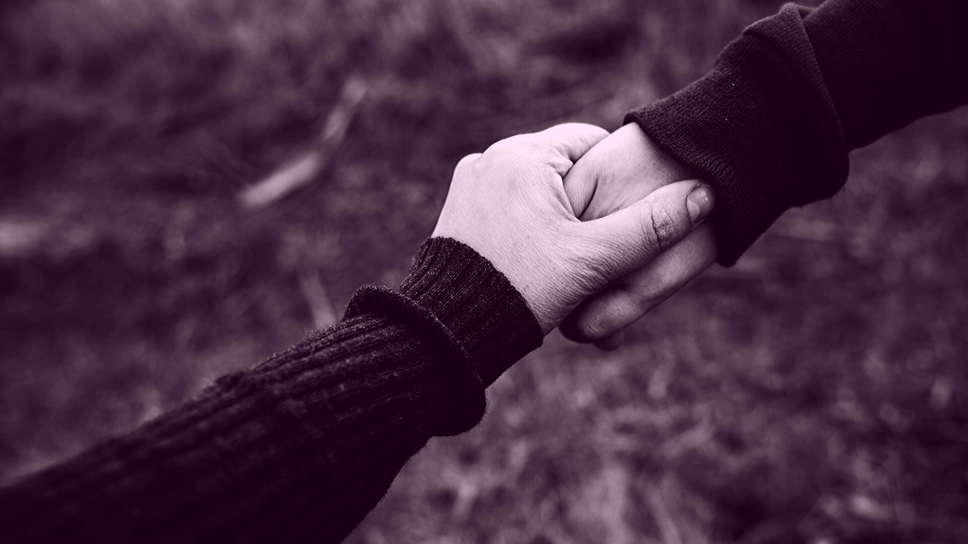 partner