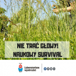 trawa