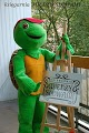 Żółw Franklin i Między Słowami w Twoim przedszkolu, szkole, bibliotece