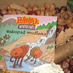Książka położona na kasztanach, żołędziach, lisciach i szyszkach.