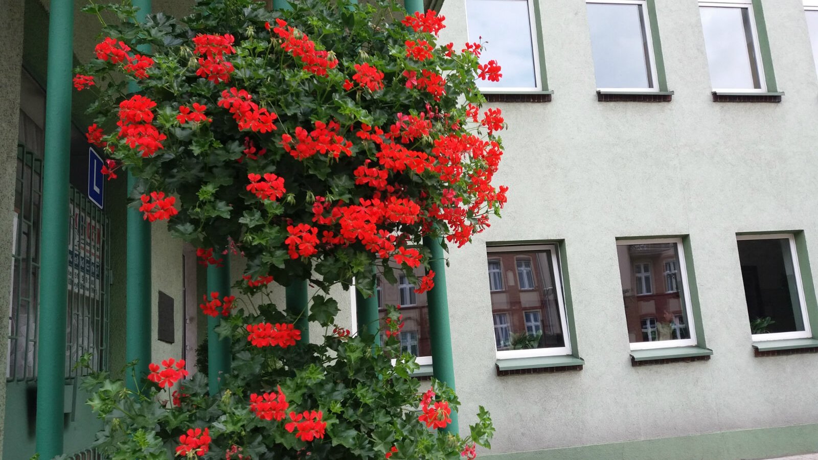 Drugi nabór