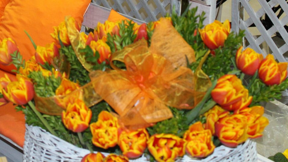 Targi Edukacyjne 2016