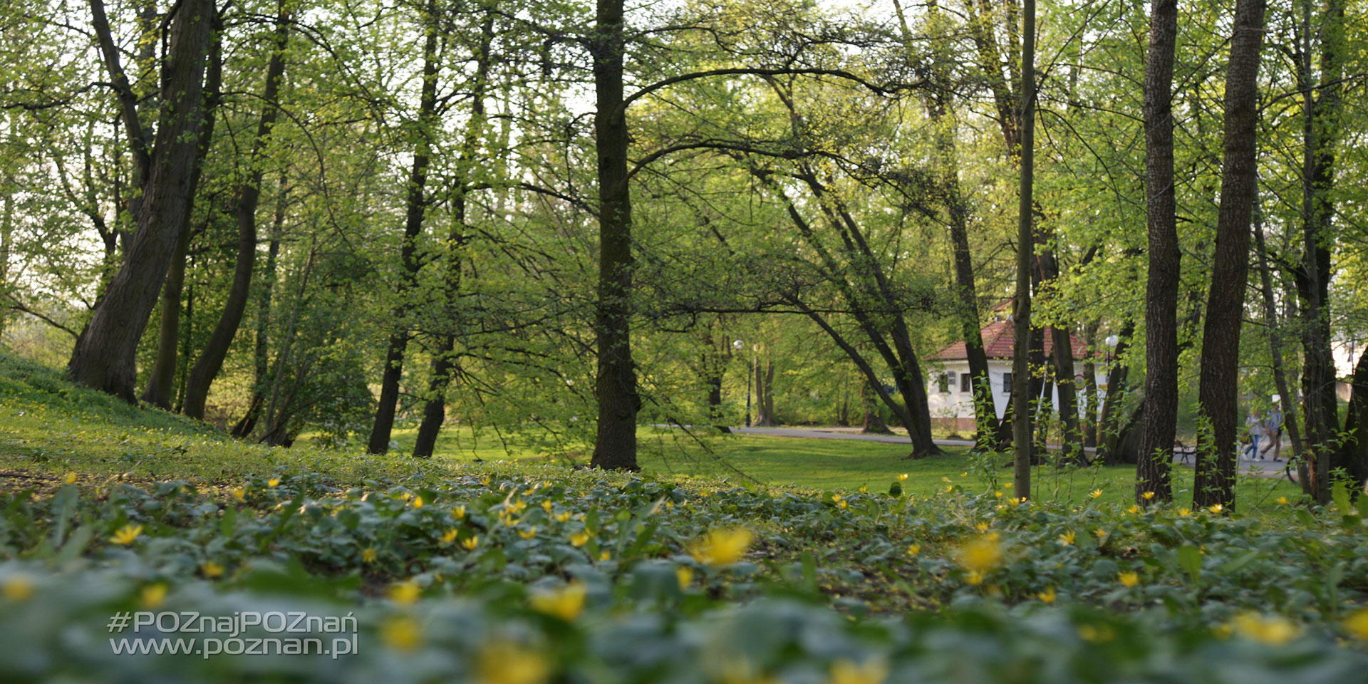 fot. Paweł Marcinak - grafika artykułu