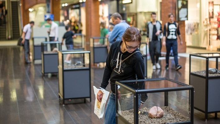 Wystawa w Starym Browarze fot. Jakub Wittchen