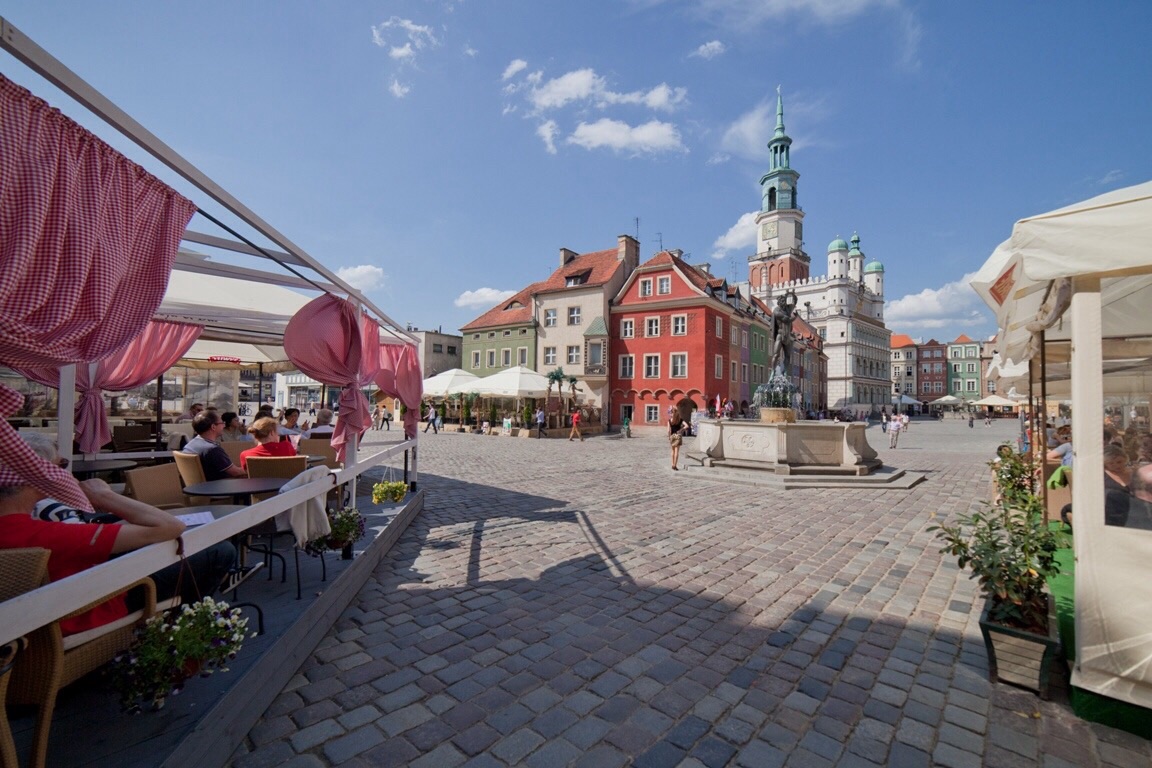 UMP 2014 - grafika artykułu